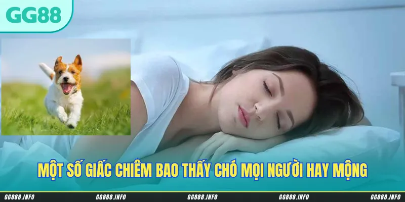 Một số giấc chiêm bao thấy chó mọi người hay mộng