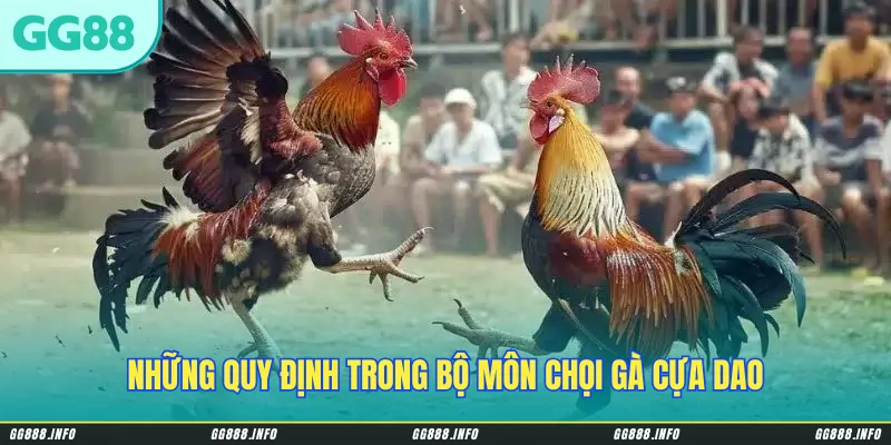 Những quy định trong bộ môn chọi gà cựa dao